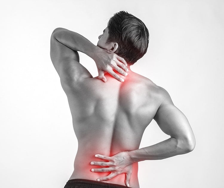 Masajeador Eléctrico Portátil de Alta Frecuencia Profesional para Masaje Muscular